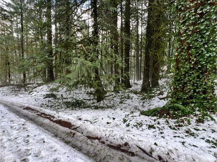 Undeveloped Land in Clackamas County, Oregon