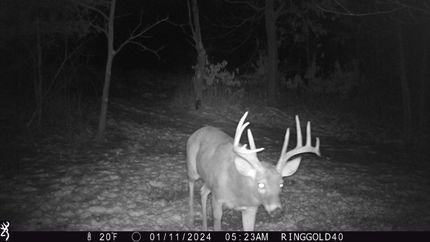 Timberland Property in Ringgold County, Iowa