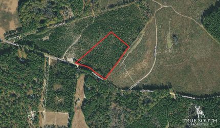 Undeveloped Land in Screven County, Georgia