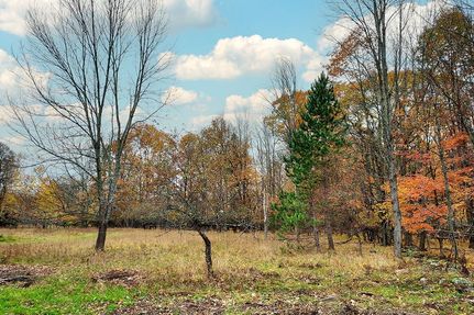 Timberland Property in Marinette County, Wisconsin