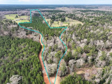 Timberland Property in San Jacinto County, Texas