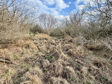 Farm and Ranch in Duval County, Texas