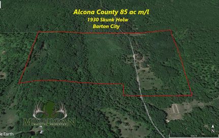 Farm and Ranch in Alcona County, Michigan