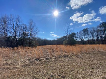 Homesite in Hinds County, Mississippi