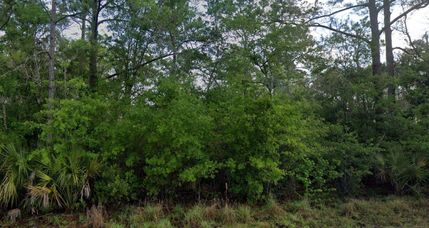 Undeveloped Land in Putnam County, Florida