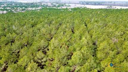 Recreational Property in Drew County, Arkansas