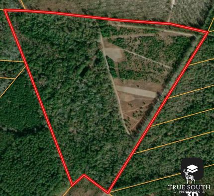 Farm and Ranch in Hampton County, South Carolina