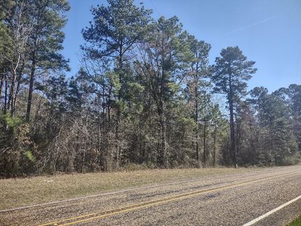 Timberland Property in Cass County, Texas