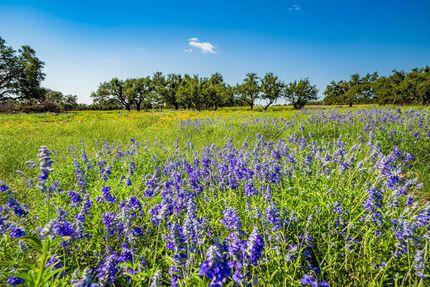 Farm and Ranch for sale in Kerr County, Texas