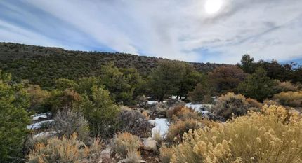 Timberland Property in Costilla County, Colorado