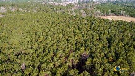 Hunting Property in Drew County, Arkansas