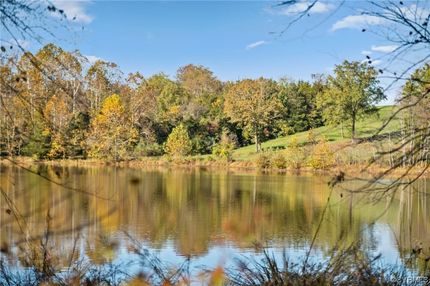 Undeveloped Land in Fauquier County, Virginia
