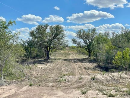 Undeveloped Land in Karnes County, Texas