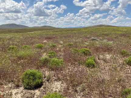 Undeveloped Land in Elko County, Nevada