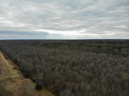 Timberland Property for sale in Drew County, Arkansas