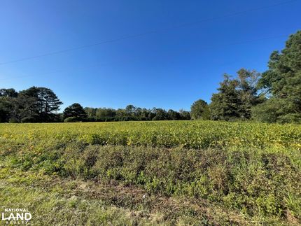 Recreational Property in Johnston County, North Carolina