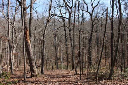 Recreational Property in Warren County, Virginia