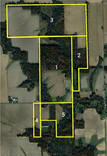 Farm and Ranch in Jasper County, Illinois