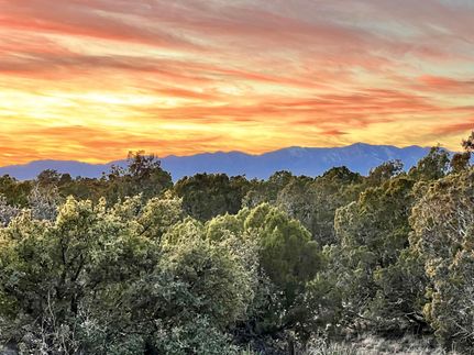 Undeveloped Land in Torrance County, New Mexico