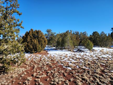 Undeveloped Land in Coconino County, Arizona