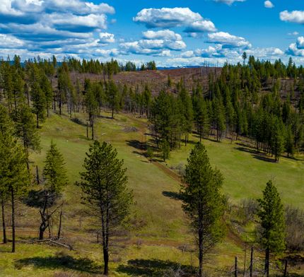 Land in Clearwater County, Idaho
