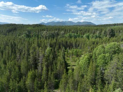 Timberland Property in Flathead County, Montana