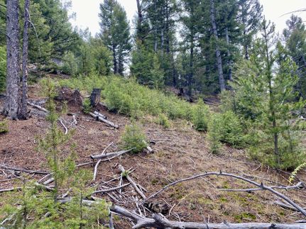 Recreational Property in Silver Bow County, Montana