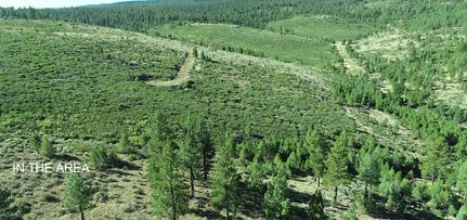 Undeveloped Land in Modoc County, California