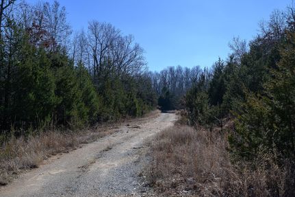 Undeveloped Land in Izard County, Arkansas