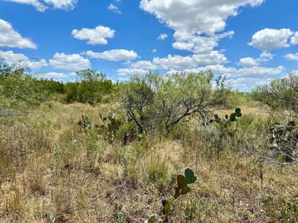 Hunting Property in Duval County, Texas