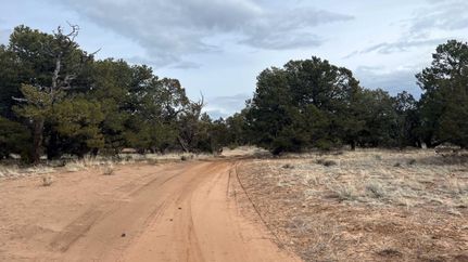 Land in Catron County, New Mexico