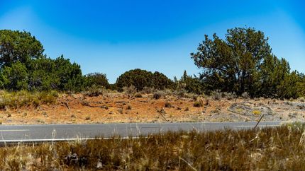 Undeveloped Land in Apache County, Arizona