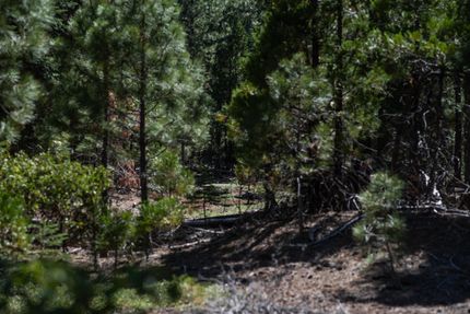 Undeveloped Land in Modoc County, California