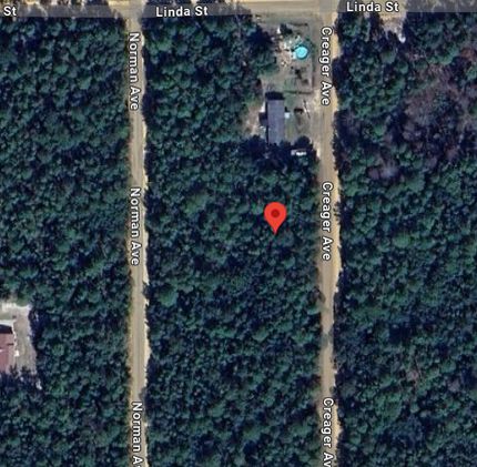 Recreational Property in Putnam County, Florida