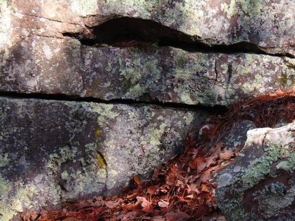 Undeveloped Land in Pushmataha County, Oklahoma