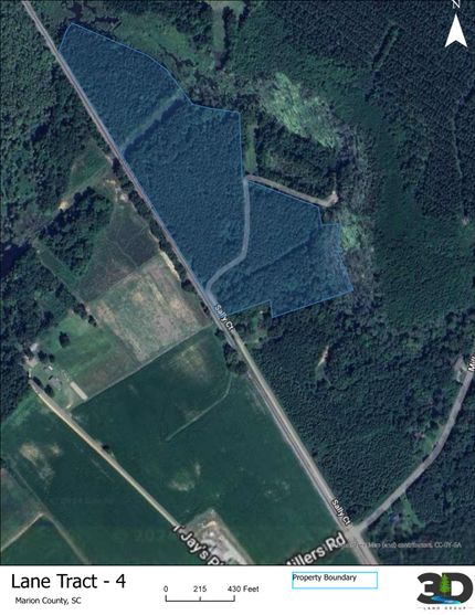 Undeveloped Land in Marion County, South Carolina