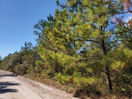 Timberland Property for sale in Madison County, Florida