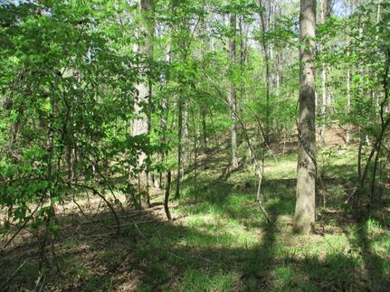 Farm and Ranch in Itawamba County, Mississippi