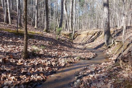 Undeveloped Land in Kershaw County, South Carolina