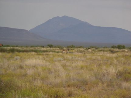 Land in Hudspeth County, Texas
