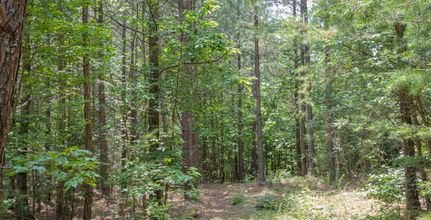 Land in Cumberland County, Virginia