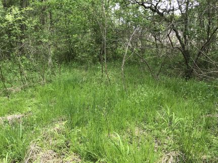 Land in Accomack County, Virginia