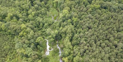 Undeveloped Land in Cumberland County, Virginia