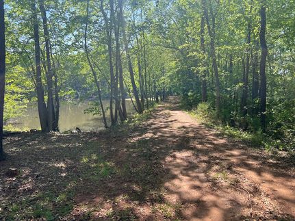 Undeveloped Land in Rutherford County, North Carolina
