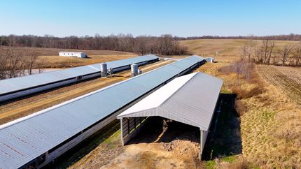 Land in Hickman County, Kentucky