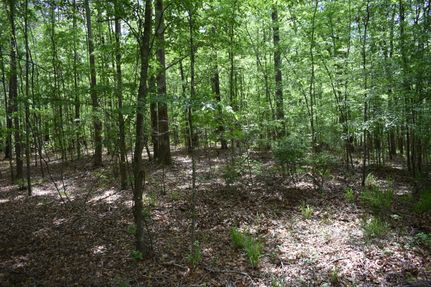 Timberland Property in Jones County, Georgia