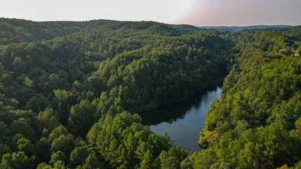 Undeveloped Land in Walker County, Alabama