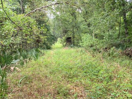 Farm and Ranch in Tensas Parish, Louisiana