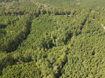 Land in Catahoula Parish, Louisiana