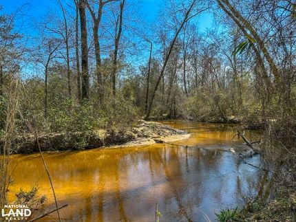 Timberland Property in Perry County, Alabama